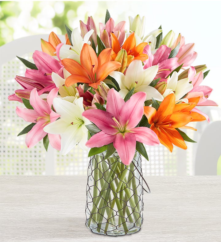 Summer Lilies by Southern Living®